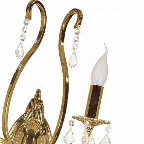 Бра Arti Lampadari Ercolano Ercolano E 2.1.2.602 G в Кудымкаре - kudymkar.mebel24.online | фото 8