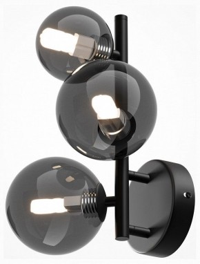 Бра Maytoni Dallas MOD545WL-03B в Кудымкаре - kudymkar.mebel24.online | фото 2