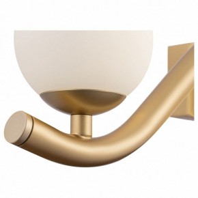 Бра Maytoni Uva MOD059WL-05G в Кудымкаре - kudymkar.mebel24.online | фото 3