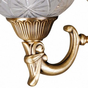 Бра MW-Light Афродита 2 317021902 в Кудымкаре - kudymkar.mebel24.online | фото 5
