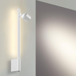 Бра Novotech FERMO 359312 в Кудымкаре - kudymkar.mebel24.online | фото 5