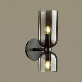 Бра Odeon Light Orinoco 4804/2W в Кудымкаре - kudymkar.mebel24.online | фото 2
