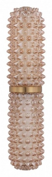 Бра ST-Luce SAGUARO SL6144.301.01 в Кудымкаре - kudymkar.mebel24.online | фото 4