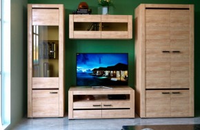 БЬЯНКА НКМ Гостинная (модульная) дуб баррик в Кудымкаре - kudymkar.mebel24.online | фото 1
