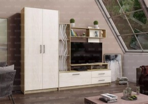 ДАРЬЯ Гостиная (Крафт серый/Крафт белый) в Кудымкаре - kudymkar.mebel24.online | фото