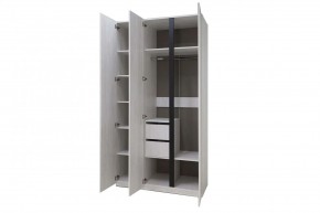 ДЕЛИ 3 Шкаф 3-х створчатый в Кудымкаре - kudymkar.mebel24.online | фото 6