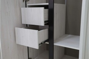 ДЕЛИ 3 Шкаф 3-х створчатый в Кудымкаре - kudymkar.mebel24.online | фото 7