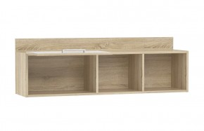 Детская Фанк Полка НМ 011.38-01 M1 в Кудымкаре - kudymkar.mebel24.online | фото 2