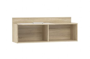 Детская Фанк Полка НМ 011.38 М1 в Кудымкаре - kudymkar.mebel24.online | фото 2