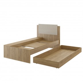 Дуглас подростковая (модульная) в Кудымкаре - kudymkar.mebel24.online | фото 40
