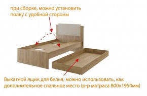 Дуглас подростковая (модульная) в Кудымкаре - kudymkar.mebel24.online | фото 5
