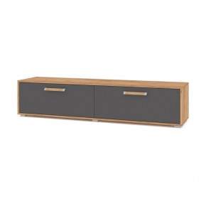 ФЛОРИДА Ф31 Тумба ТВ (дуб золотой/графит) в Кудымкаре - kudymkar.mebel24.online | фото