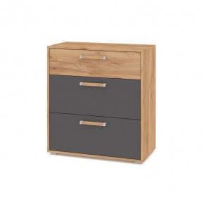 ФЛОРИДА Ф41 Комод (дуб золотой/графит) в Кудымкаре - kudymkar.mebel24.online | фото