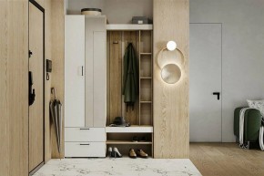 Гарнитур для прихожей Торонто в Кудымкаре - kudymkar.mebel24.online | фото 5