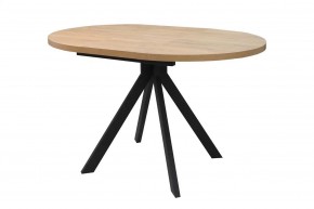 КАПРИ Стол кухонный раскладной в Кудымкаре - kudymkar.mebel24.online | фото 4