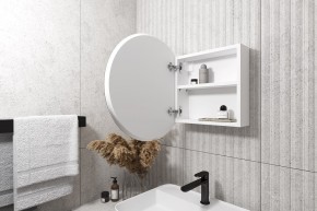 Кларити Шкаф зеркальный 16.312.01 в Кудымкаре - kudymkar.mebel24.online | фото 2