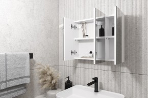 Кларити Шкаф зеркальный 16.312.08 в Кудымкаре - kudymkar.mebel24.online | фото 2