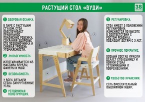 Комплект растущий стол и стул с чехлом 38 попугаев «Вуди» (Серый, Береза, Салют) в Кудымкаре - kudymkar.mebel24.online | фото