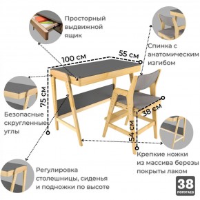 Комплект растущий стол и стул с чехлом 38 попугаев «Вуди» (Серый, Береза, Серый) в Кудымкаре - kudymkar.mebel24.online | фото