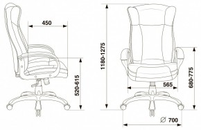 Кресло для руководителя Бюрократ CH-879N в Кудымкаре - kudymkar.mebel24.online | фото