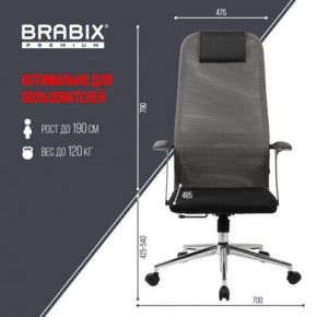 Кресло офисное BRABIX PREMIUM "Ultimate EX-801" хром, плотная двойная сетка Х2, черное/серое, 532918 в Кудымкаре - kudymkar.mebel24.online | фото 5