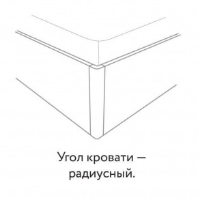 Кровать "Сандра" БЕЗ основания 1200х2000 в Кудымкаре - kudymkar.mebel24.online | фото 3