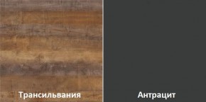 Кухонный гарнитур угловой Трансильвания 2600х1600 мм (Стол. 26 мм) в Кудымкаре - kudymkar.mebel24.online | фото 3