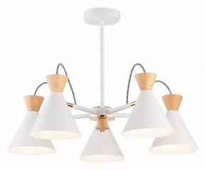 Люстра на штанге EVOLUCE Modica SLE125102-05 в Кудымкаре - kudymkar.mebel24.online | фото 2