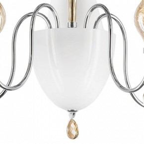 Люстра на штанге Lightstar Escica 806050 в Кудымкаре - kudymkar.mebel24.online | фото 5