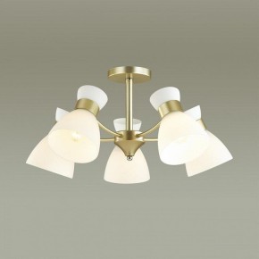 Люстра на штанге Lumion Wilma 4535/5C в Кудымкаре - kudymkar.mebel24.online | фото 3
