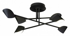 Люстра на штанге Mantra Capuccina 7581 в Кудымкаре - kudymkar.mebel24.online | фото 1