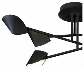 Люстра на штанге Mantra Capuccina 7581 в Кудымкаре - kudymkar.mebel24.online | фото 2