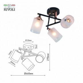 Люстра на штанге Rivoli Fiona Б0059259 в Кудымкаре - kudymkar.mebel24.online | фото