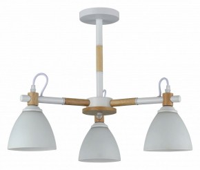 Люстра на штанге Rivoli Louise Б0060982 в Кудымкаре - kudymkar.mebel24.online | фото
