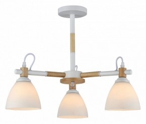 Люстра на штанге Rivoli Louise Б0060982 в Кудымкаре - kudymkar.mebel24.online | фото 2