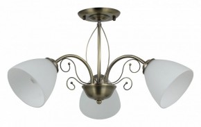 Люстра на штанге Rivoli Sue Б0060985 в Кудымкаре - kudymkar.mebel24.online | фото