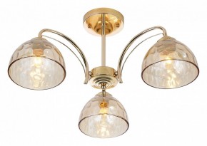 Люстра на штанге Rivoli Terri Б0060988 в Кудымкаре - kudymkar.mebel24.online | фото