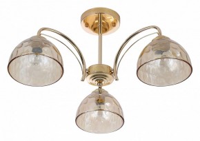 Люстра на штанге Rivoli Terri Б0060988 в Кудымкаре - kudymkar.mebel24.online | фото 2