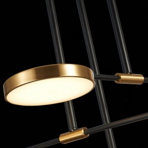 Люстра на штанге ST-Luce Farone SL1605.403.06 в Кудымкаре - kudymkar.mebel24.online | фото 7