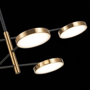 Люстра на штанге ST-Luce Farone SL1605.413.06 в Кудымкаре - kudymkar.mebel24.online | фото 7