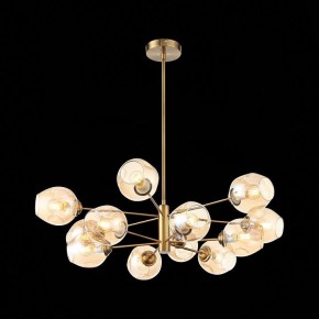 Люстра на штанге ST-Luce Fovia SL1500.203.12 в Кудымкаре - kudymkar.mebel24.online | фото 4