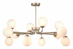Люстра на штанге ST-Luce Redjino SLE106203-12 в Кудымкаре - kudymkar.mebel24.online | фото 2