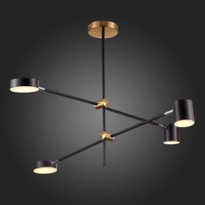 Люстра на штанге ST-Luce Rodrigo SL1604.432.04 в Кудымкаре - kudymkar.mebel24.online | фото 9