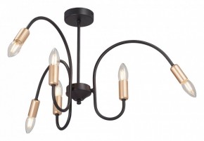 Люстра на штанге Vitaluce V3026 V3026-1/6PL в Кудымкаре - kudymkar.mebel24.online | фото 2