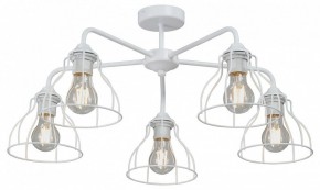Люстра на штанге Vitaluce V3102 V3102-0/5PL в Кудымкаре - kudymkar.mebel24.online | фото