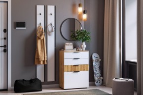 МЕБЕЛЬСОН К21 Прихожая в Кудымкаре - kudymkar.mebel24.online | фото