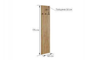 МЕБЕЛЬСОН К6 Прихожая в Кудымкаре - kudymkar.mebel24.online | фото 6