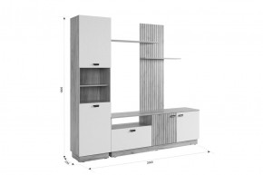 МОДИ Гостиная (модульная) белое дерево в Кудымкаре - kudymkar.mebel24.online | фото 2