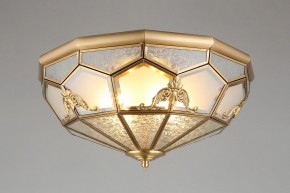 Накладной светильник Aployt Leoni APL.625.07.04 в Кудымкаре - kudymkar.mebel24.online | фото 6