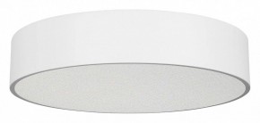 Накладной светильник Arlight TOR PILL 022108(3) в Кудымкаре - kudymkar.mebel24.online | фото